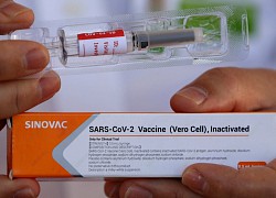 Ukraine mua gần 2 triệu liều vaccine Sinovac của Trung Quốc