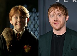 Rupert Grint sẵn sàng đóng tiếp 'Harry Potter'