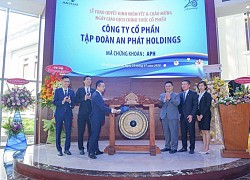 Cổ phiếu APH được đưa vào rổ FTSE Vietnam Index