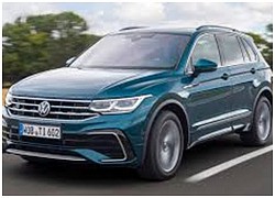 Triệu hồi Volkswagen Tiguan bán tại Mỹ lỗi dây đai an toàn