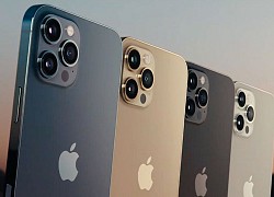 iPhone 12 Pro Max bị OnePlus 8T đánh bại trong bài "blind test" camera