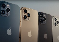 Ngỡ ngàng với chiếc iPhone 12 được săn đón nhiều nhất