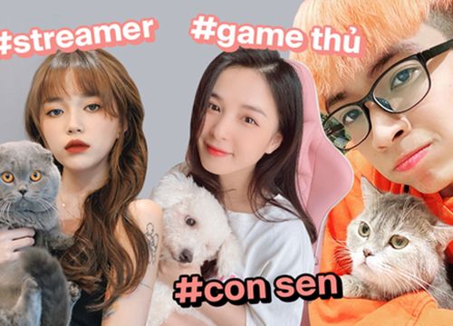 Game thủ, streamer giờ toàn là "người chơi hệ thú cưng": Đàm Tổng mở hẳn cà phê mèo, cả team Saigon Phantom ai nấy đều rất cưng chiều "hoàng thượng"