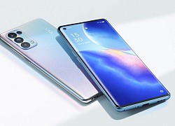 OPPO Reno5 5G lộ diện: Có 3 phiên bản, thiết kế giống không đổi, bản cao cấp nhất dùng chip Snapdragon 865, giá từ 10.6 triệu đồng