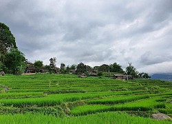 Sán Sả Hồ- 'Nàng tiên' cần được đánh thức