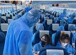 Tiếp viên vi phạm cách ly: Yêu cầu Vietnam Airlines kiểm điểm trách nhiệm