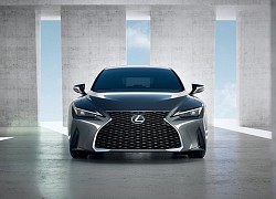 Xe sang Lexus IS thế hệ mới sắp về Việt Nam