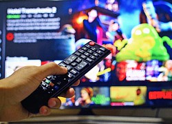 Các nhà khoa học bảo đừng xem Netflix độ phân giải HD nếu bạn muốn cứu hành tinh này