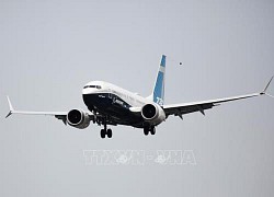 Boeing 737 MAX trở lại bầu trời Brazil