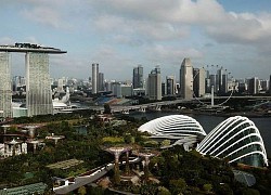 Diễn đàn kinh tế thế giới dời điểm tổ chức sang Singapore vì Covid-19