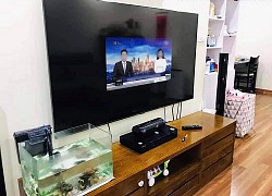 Hí hửng đặt mua tivi 55 inch to đùng trên mạng về xem thời sự cho rõ, chàng trai vội cầu cứu dân mạng khi phát hiện sự lạ trên màn hình