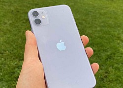 iPhone 11 bất ngờ được cải thiện điểm nhiếp ảnh