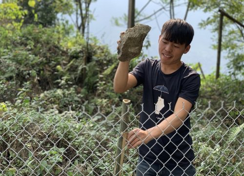 Lào Cai: Nông dân Sa Pa mặc áo cộc tay gấp rút đưa loài hoa quý địa lan trần mộng đi tránh rét ở đâu?