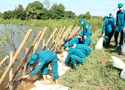 Nâng kỹ năng hộ đê cho lực lượng phòng, chống thiên tai