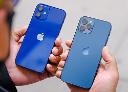 Nguồn cung iPhone 12 Pro và 12 Pro Max không theo kịp nhu cầu