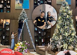 Sao Việt trang trí nhà sớm trước thềm Noel: Loạt cây thông hoành tráng trong biệt thự "triệu đô" của Tăng Thanh Hà, Ngọc Trinh hay Cường Đô La