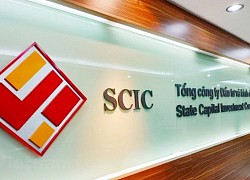 SCIC đấu giá cả lô 2,9 triệu cổ phần một công ty con của Dược Cửu Long