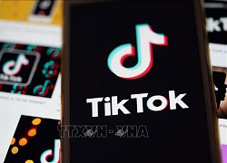 Thêm một thẩm phán Mỹ chặn lệnh cấm TikTok