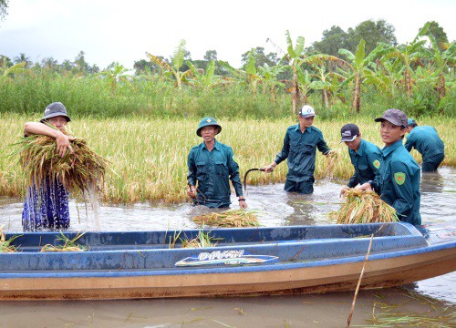 Theo UBND tỉnh Cà Mau thì năm 2020 tỉnh này bị thiệt hại mấy nghìn tỷ đồng vì thiên tai?