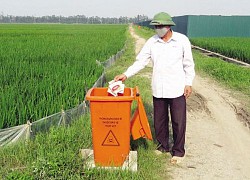 Bắc Ninh: Cho những làng quê xanh