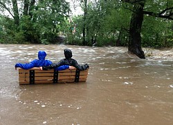 Các cặp đôi vàng trong làng "tấu hài" của nhân loại