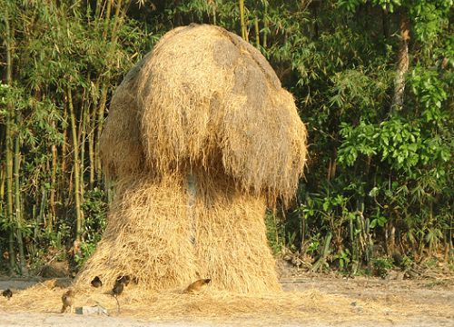 Cay cú vì người yêu cũ đi lấy chồng, thanh niên đến ăn cỗ bình thường rồi chỉ 1 hành động mà khiến quan khách tới dự phải chạy tán loạn