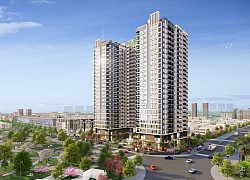 Cen Land của Shark Hưng thu về gần 2.000 tỷ đồng trong 11 tháng năm 2020