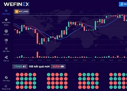 Công an TP.HCM cảnh báo kinh doanh đa cấp trái phép trên Wefinex