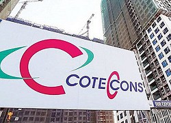 Coteccons (CTD) sắp chi 345 tỷ mua cổ phiếu quỹ, chuẩn bị nguồn lực để phát hành ESOP