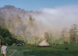 DaLat Camp: Khu cắm trại thơ mộng