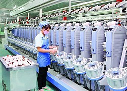 Dệt may Thành Công (TCM): Lợi nhuận tháng 11/2020 đạt 1,17 triệu USD, tăng 37% so với cùng kỳ