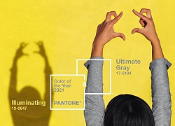 Pantone công bố hai "Màu sắc của năm 2021": Tưởng đối lập nhưng lại rất ý nghĩa!