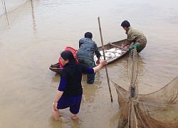 Phú Thọ: Lạ, nuôi cá cho ăn "kiểu nhà nghèo", cá chậm lớn mà bán ai cũng đòi mua, nông dân này là tỷ phú