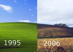 Sự thật đầy bất ngờ phía sau bức ảnh nền huyền thoại của hệ điều hành Windows XP