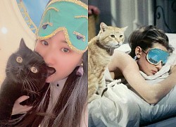 'Thần tiên tỷ tỷ' Lưu Diệc Phi cosplay huyền thoại Hollyood Audrey Hepburn sau khi bị chê béo mầm