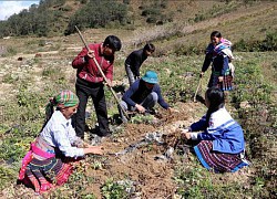 Thu nhập bình quân hộ nghèo tăng 2-3 lần sau 5 năm