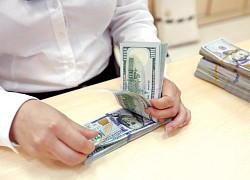 Tỷ giá USD hôm nay 12/12: Tiếp đà suy giảm