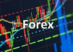 Vì sao nhà đầu tư tham gia sàn Forex có thể bị xử lý hình sự?