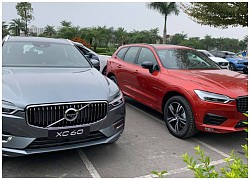 Volvo XC60 2021 về đại lý: 2 phiên bản, giá gần 2,2 tỷ, động cơ mạnh, nhiều 'đồ chơi' cạnh tranh Mercedes-Benz GLC