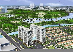 33 nhà đầu tư đăng ký đấu giá, IJC tăng trần