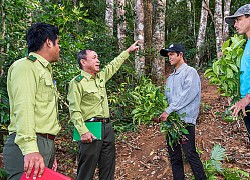 Bắc Bộ và Trung Bộ chủ động ứng phó với rét đậm, rét hại