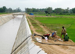 Bình Định: Chủ động tích nước, tưới phù hợp để đủ nước tưới cả năm 2021