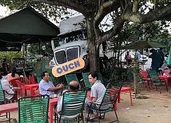 Container đâm vào cây bàng trước quán cafe, biểu cảm của 3 người đàn ông được dân mạng mang ra &quot;mổ xẻ&quot;