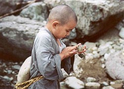 'Xuân, hạ, thu, đông... lại xuân' là phim đáng xem nhất của Kim Ki Duk?