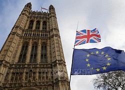 Doanh nghiệp Anh kêu gọi tăng thời gian chuẩn bị cho giai đoạn hậu Brexit