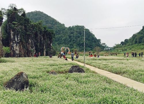 Du lịch Hà Giang xây dựng điểm đến "bản sắc, an toàn, thân thiện"