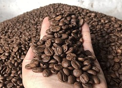 Giá cà phê hôm nay 14/12: Arabica trên đà tăng mạnh, Robusta thận trọng với diễn biến vụ mới ở Việt Nam