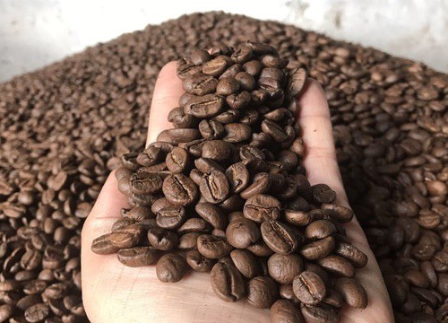 Giá cà phê hôm nay 14/12: Arabica trên đà tăng mạnh, Robusta thận trọng với diễn biến vụ mới ở Việt Nam