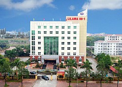 Cổ phiếu 'họ' Lilama: Người lên đỉnh cao, kẻ rơi vực sâu