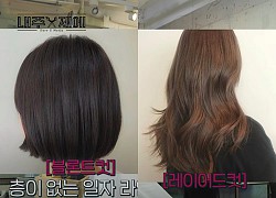 Hairstylist người Hàn bày cách "cứu rỗi" mái tóc mỏng dính, hói cả mảng: Chị em tự làm ở nhà ngon ơ mà chẳng cần ra tiệm